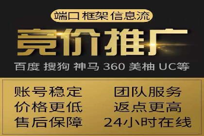 成功SEM推广代运营案例分享